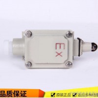 安徽菲德供應 廠用防爆型BZX51系列 防爆型行程開關 限位開關 質量保證