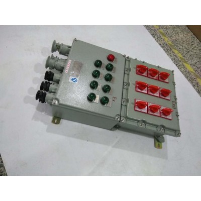 中沈防爆 防爆配電箱BXD **非標訂做