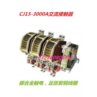 樂清新迪電氣有限公司 CJ15-2000/2