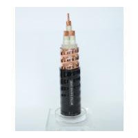 遠(yuǎn)東電線電纜WTTZ 0.6/1kV銅護(hù)套無(wú)機(jī)絕緣防火電纜