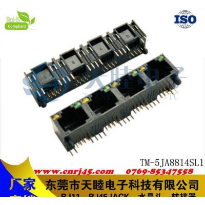 帶邊2連體RJ45連接器全塑  全塑網絡