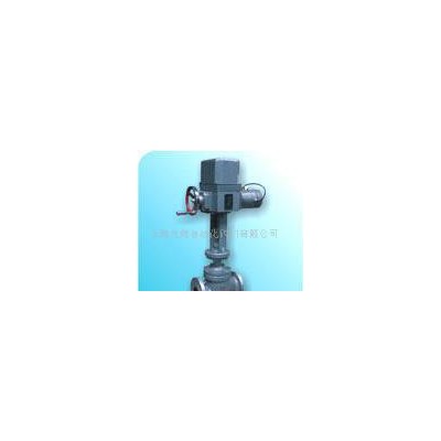 69.ZAZP、ZAZM電動(dòng)精小型單座、套筒
