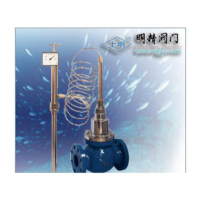 自力式溫度調節閥ZZWP電子式溫度調