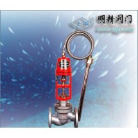 ZZWP型自力式溫度調節閥/自力式溫度調節閥/調節閥