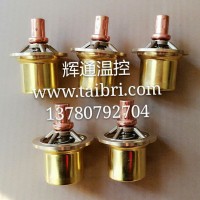 Taibri 泰博銳溫控促銷 溫度調節閥芯 溫控閥芯1619759602