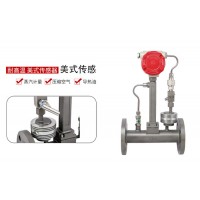 六盤(pán)水渦街流量計(jì) 溫嶺渦街流量計(jì) 貴陽(yáng)電磁流量計(jì)