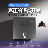 離線語音、在線語音、智能語音
