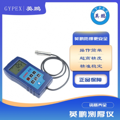 涂層測(cè)厚儀高精度涂層檢測(cè)儀