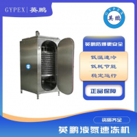 螺旋液氮速凍機蔬菜水果低溫食品速凍設備