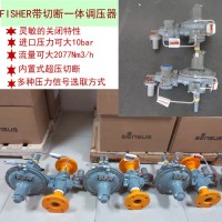 299H燃氣減壓閥費希爾299H調(diào)壓閥  2”NPT
