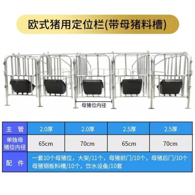 養(yǎng)豬場妊娠期母豬用定位欄熱鍍鋅大