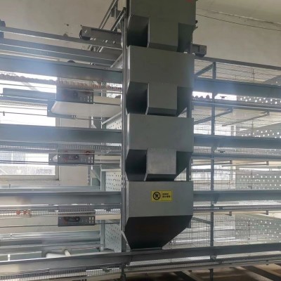雞場自動化喂料機的幾大優勢