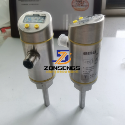 TE1004伊瑪EMA防爆溫度變送器