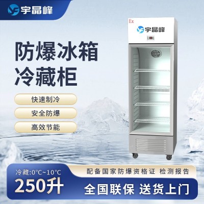 宇晶峰玻璃門防爆冰箱250L