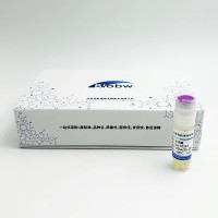 克魯維畢赤酵母Pichia kluyveri