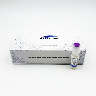Agrobacterium tumefaciens KYC 55B