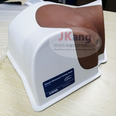 美國Cirs 404A女性盆腔模體