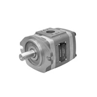 DUPLOMATIC IGP4-025-R01-10 內部齒輪泵