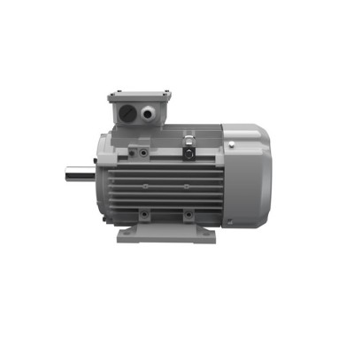 Ac-Motoren ACA 100 L 4/8 三相異步