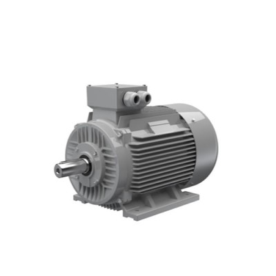 Ac-Motoren ACM 100 L 6/PHE 異步電