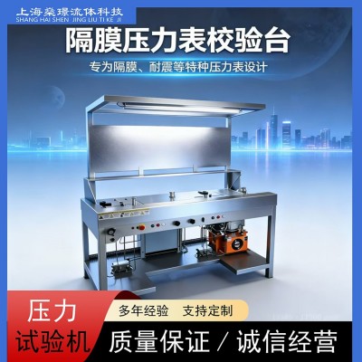 卡箍隔膜壓力表汽車燃油管耐壓試驗
