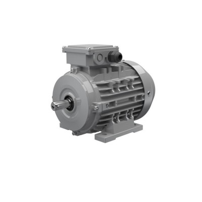 Ac-Motoren ACM 112 M 2/SPE 異步電