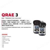 BW PGM-2500D 擴散式四合一氣體檢測儀