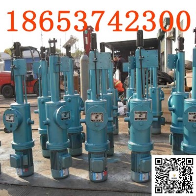 DYTZ2500-500直式電液推桿定做，防