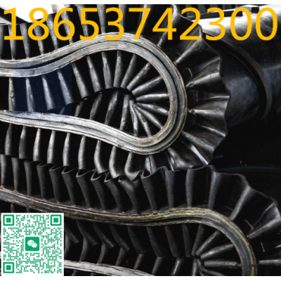 裙邊環(huán)形輸送帶 無接口運輸膠帶 B12